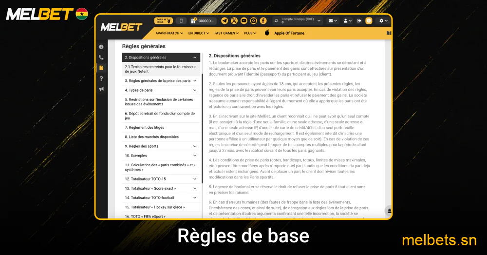 Règles d'utilisation et sécurité Melbet